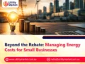 Beyond the Rebate: Managing Energy Costs for Small Businesses